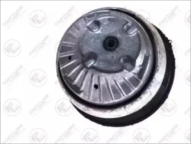 Подвеска, двигатель FORTUNE LINE купить