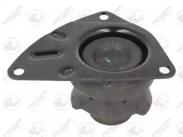 Подвеска, двигатель FORTUNE LINE купить