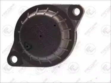 Подвеска, двигатель FORTUNE LINE купить