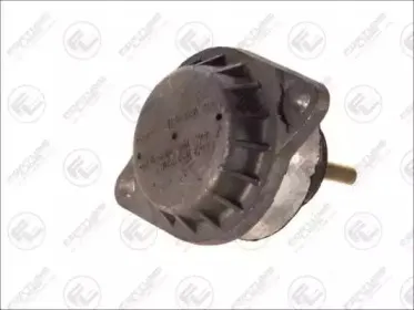 Подвеска, двигатель FORTUNE LINE купить