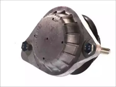 Подвеска, двигатель FORTUNE LINE купить