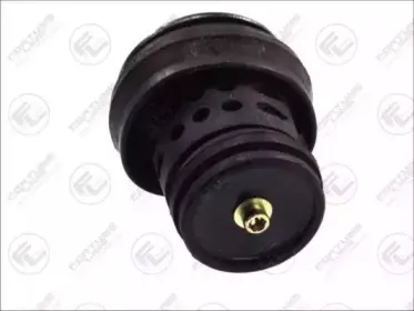 Подвеска, двигатель FORTUNE LINE купить