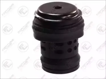 Подвеска, двигатель FORTUNE LINE купить