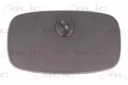 Наружное зеркало, кабина водителя BLIC купить