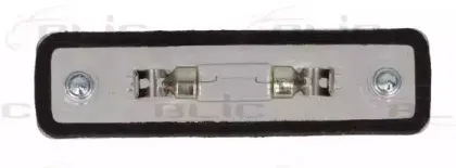 Фонарь освещения номерного знака BLIC купить