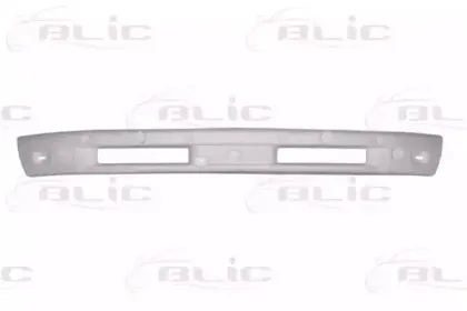 Носитель, буфер BLIC купить