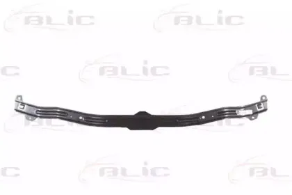 Носитель, буфер BLIC купить