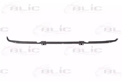 Носитель, буфер BLIC купить