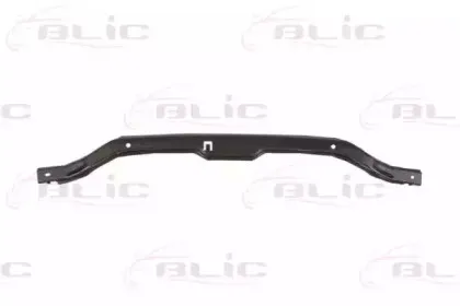 Носитель, буфер BLIC купить