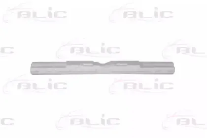 Носитель, буфер BLIC купить