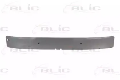 Носитель, буфер BLIC купить