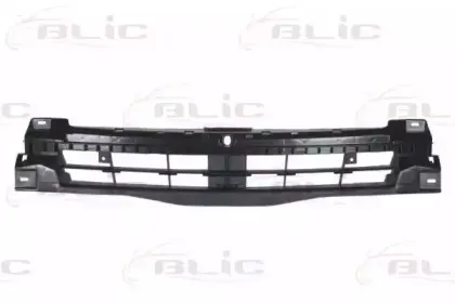 Носитель, буфер BLIC купить