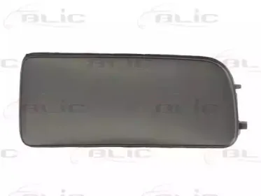 Покрытие, фара BLIC купить