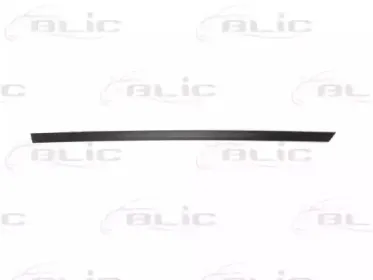 Облицовка / защитная накладка, дверь BLIC купить