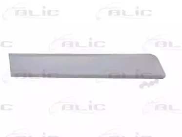 Облицовка / защитная накладка, дверь BLIC купить