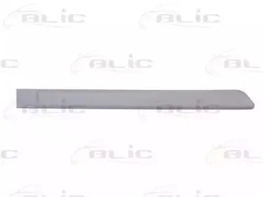 Облицовка / защитная накладка, дверь BLIC купить