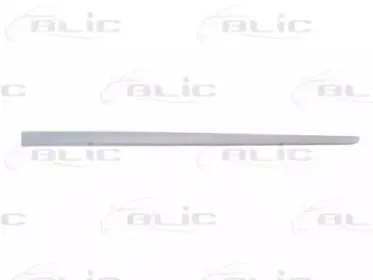 Облицовка / защитная накладка, дверь BLIC купить