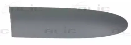 Облицовка / защитная накладка, дверь BLIC купить