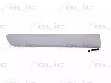 Облицовка / защитная накладка, дверь BLIC купить