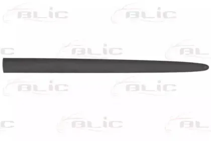 Облицовка / защитная накладка, дверь BLIC купить