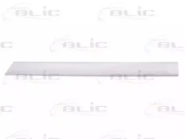 Облицовка / защитная накладка, дверь BLIC купить