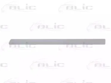 Облицовка / защитная накладка, дверь BLIC купить