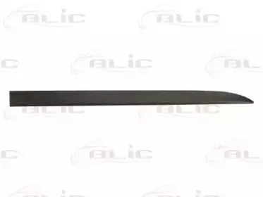 Облицовка / защитная накладка, дверь BLIC купить