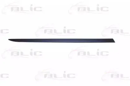 Облицовка / защитная накладка, дверь BLIC купить