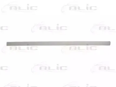 Облицовка / защитная накладка, дверь BLIC купить