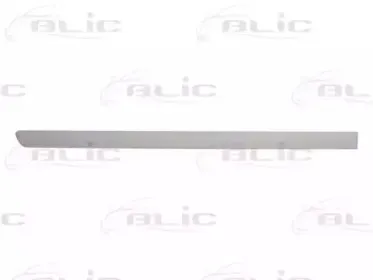 Облицовка / защитная накладка, дверь BLIC купить