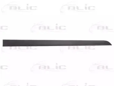 Облицовка / защитная накладка, дверь BLIC купить