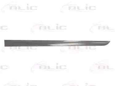 Облицовка / защитная накладка, дверь BLIC купить