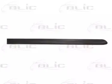 Облицовка / защитная накладка, дверь BLIC купить