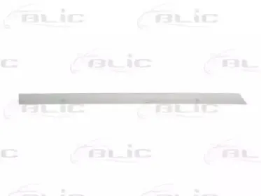 Облицовка / защитная накладка, дверь BLIC купить