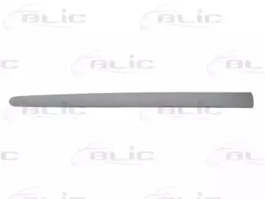 Облицовка / защитная накладка, дверь BLIC купить