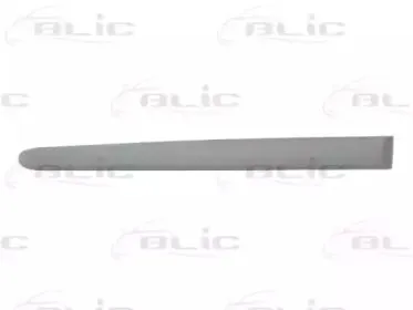 Облицовка / защитная накладка, дверь BLIC купить