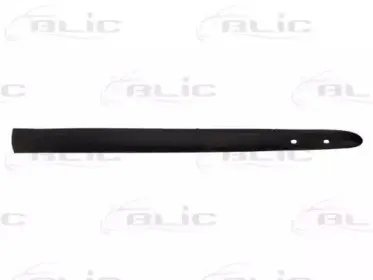 Облицовка / защитная накладка, дверь BLIC купить