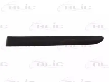 Облицовка / защитная накладка, дверь BLIC купить