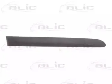 Облицовка / защитная накладка, дверь BLIC купить