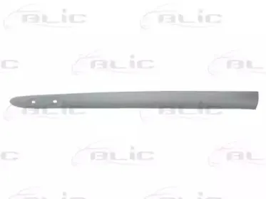 Облицовка / защитная накладка, дверь BLIC купить