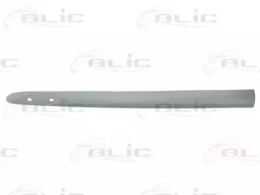 Облицовка / защитная накладка, дверь BLIC купить