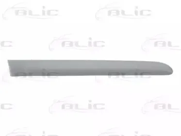 Облицовка / защитная накладка, дверь BLIC купить