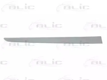 Облицовка / защитная накладка, дверь BLIC купить