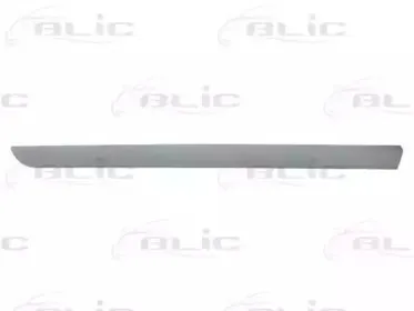 Облицовка / защитная накладка, дверь BLIC купить