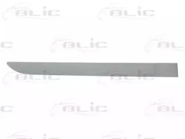 Облицовка / защитная накладка, дверь BLIC купить