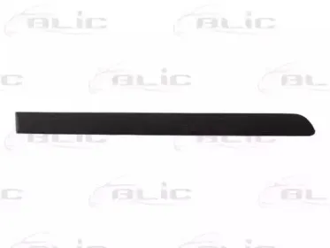 Облицовка / защитная накладка, дверь BLIC купить