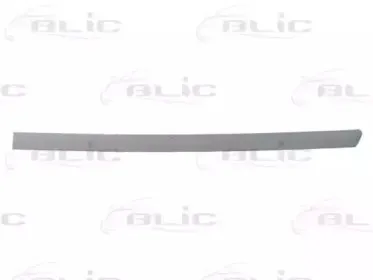 Облицовка / защитная накладка, дверь BLIC купить