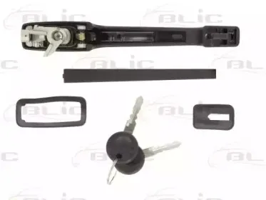 Ручка двери BLIC купить