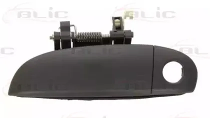 Ручка двери BLIC купить