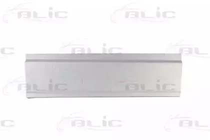 Дверь, кузов BLIC купить